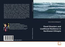 Buchcover von Flood Disasters and Livelihood Resilience in Northwest Ethiopia