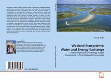 Copertina di Wetland Ecosystems: Water and Energy Exchange