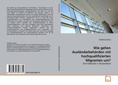 Buchcover von Wie gehen Ausländerbehörden mit hochqualifizierten Migranten um?