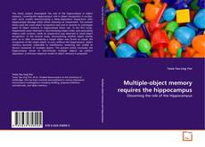 Copertina di Multiple-object memory requires the hippocampus