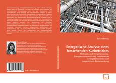 Energetische Analyse eines bestehenden Kurbetriebes kitap kapağı