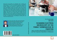 Обложка SCANNING ELECTRON MICROSCOPY OF THE FAMILY VERBENACEAE IN PAKISTAN