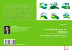Couverture de Energiegewinnung aus Biomasse
