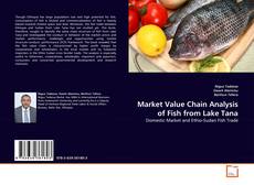 Market Value Chain Analysis of Fish from Lake Tana的封面