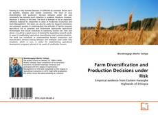 Copertina di Farm Diversification and Production Decisions under Risk