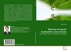 Biomass-to-Liquid-Kraftstoffe in der Schweiz kitap kapağı