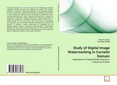 Study of Digital Image Watermarking in Curvelet Domain的封面