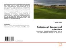 Bookcover of Protection of Geographical Indications