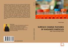 Buchcover von SURFACE CHARGE FEATURES OF KAOLINITE PARTICLES