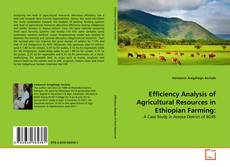 Обложка Efficiency Analysis of Agricultural Resources in Ethiopian Farming: