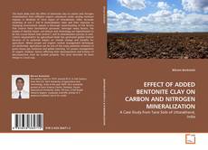 Copertina di EFFECT OF ADDED BENTONITE CLAY ON CARBON AND NITROGEN MINERALIZATION