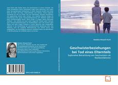 Copertina di Geschwisterbeziehungen bei Tod eines Elternteils