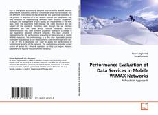Performance Evaluation of Data Services in Mobile WiMAX Networks的封面