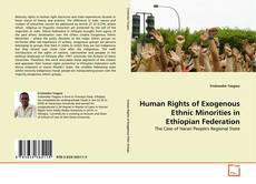 Human Rights of Exogenous Ethnic Minorities in Ethiopian Federation kitap kapağı