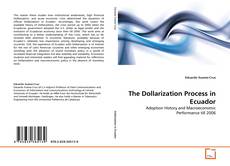 Обложка The Dollarization Process in Ecuador
