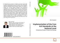 Bookcover of Implementation of the Core ILO Standards at the National Level