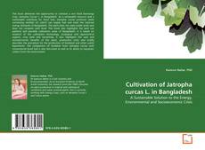 Copertina di Cultivation of Jatropha curcas L. in Bangladesh