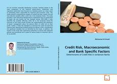 Credit Risk, Macroeconomic and Bank Specific Factors kitap kapağı