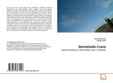 Bookcover of Demoiselle Crane
