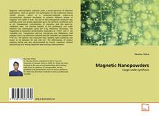 Magnetic Nanopowders kitap kapağı