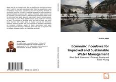 Copertina di Economic Incentives for Improved and Sustainable Water Management