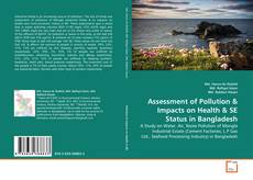 Обложка Assessment of Pollution & Impacts on Health & SE Status in  Bangladesh