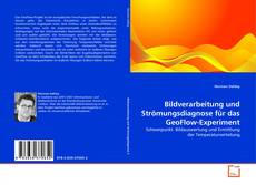 Copertina di Bildverarbeitung und Strömungsdiagnose für das GeoFlow-Experiment