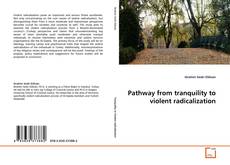 Bookcover of Pathway from tranquility to violent radicalization
