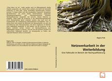 Copertina di Netzwerkarbeit in der Weiterbildung