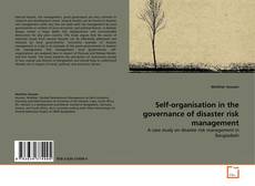 Copertina di Self-organisation in the governance of disaster risk management