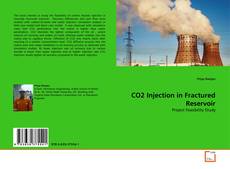 Copertina di CO2 Injection in Fractured Reservoir