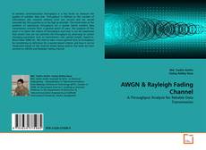 AWGN & Rayleigh Fading Channel的封面