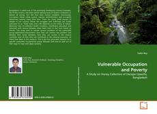 Copertina di Vulnerable Occupation and Poverty