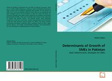 Determinants of Growth of SMEs in Pakistan的封面