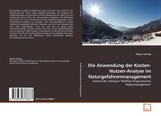 Copertina di Die Anwendung der Kosten-Nutzen-Analyse im Naturgefahrenmanagement