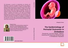 Обложка The Epidemiology of Perinatal Outcomes in Zimbabwe