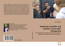 Copertina di Exploring Juveniles and Violence: From their Perspective