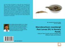 Copertina di Macrobrachium rosenbergii Post Larvae (PL) in Nursery Ponds;