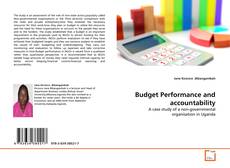 Copertina di Budget Performance and accountability