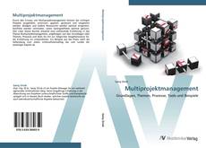 Capa do livro de Multiprojektmanagement 