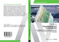 Portada del libro de Verwitterung von Tonmineralen