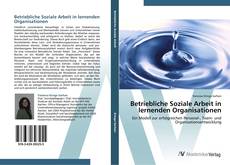 Capa do livro de Betriebliche Soziale Arbeit in lernenden Organisationen 