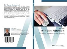 Bookcover of Die IT unter Kostendruck