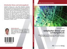 Bookcover of Schulischer Stress und Leistungsdruck