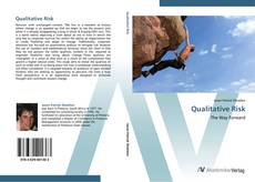 Bookcover of Qualitative Risk