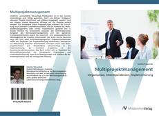 Capa do livro de Multiprojektmanagement 