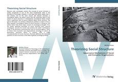 Capa do livro de Theorizing Social Structure 
