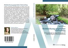 Portada del libro de Waldwirkung gegenüber Steinschlag