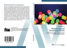 Capa do livro de Photoinduced Ferromagnetism 