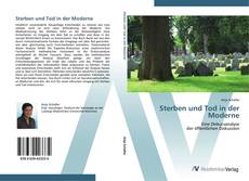 Обложка Sterben und Tod in der Moderne